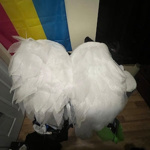 Leo added a photo of their purchase