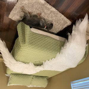 Ron added a photo of their purchase