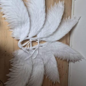 Ascha added a photo of their purchase