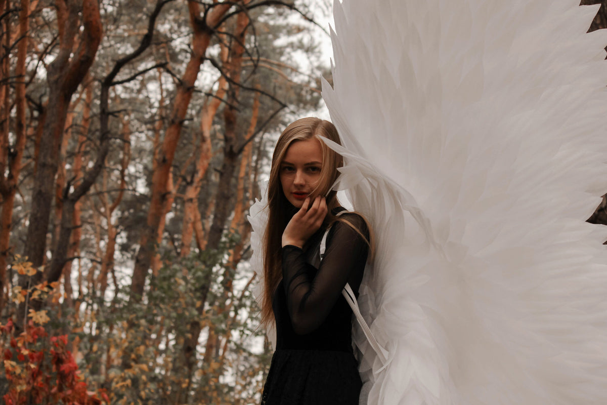 May include: A woman wearing a black dress and large white feathered wings stands in a forest. The wings are spread out behind her, and the background features trees with brown and orange leaves.