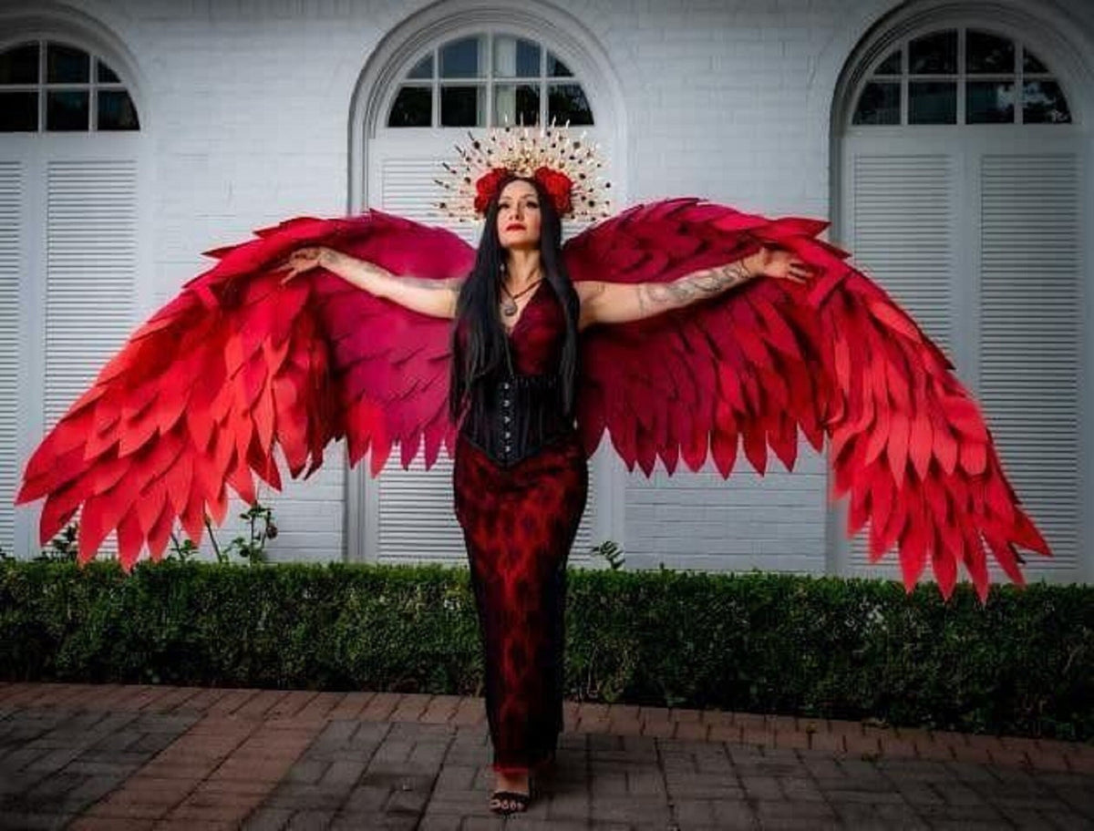 May include: A person wearing a red dress and a crown of thorns with large red angel wings. The wings are made of feathers and are spread out behind the person.