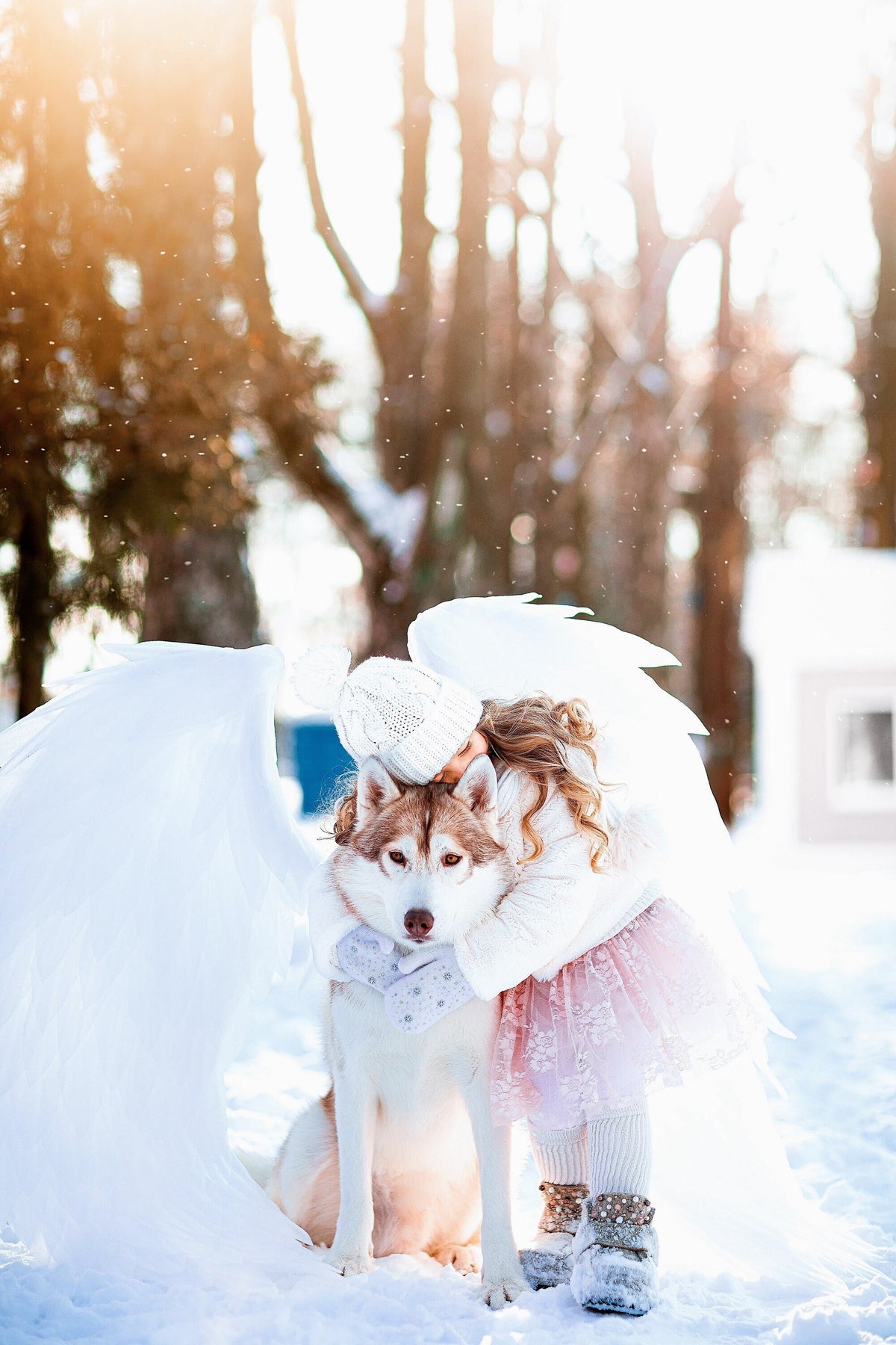 May include: A young girl wearing a white hat and a pink tutu holds a white husky dog in a snowy winter scene. The girl and dog are surrounded by white angel wings.