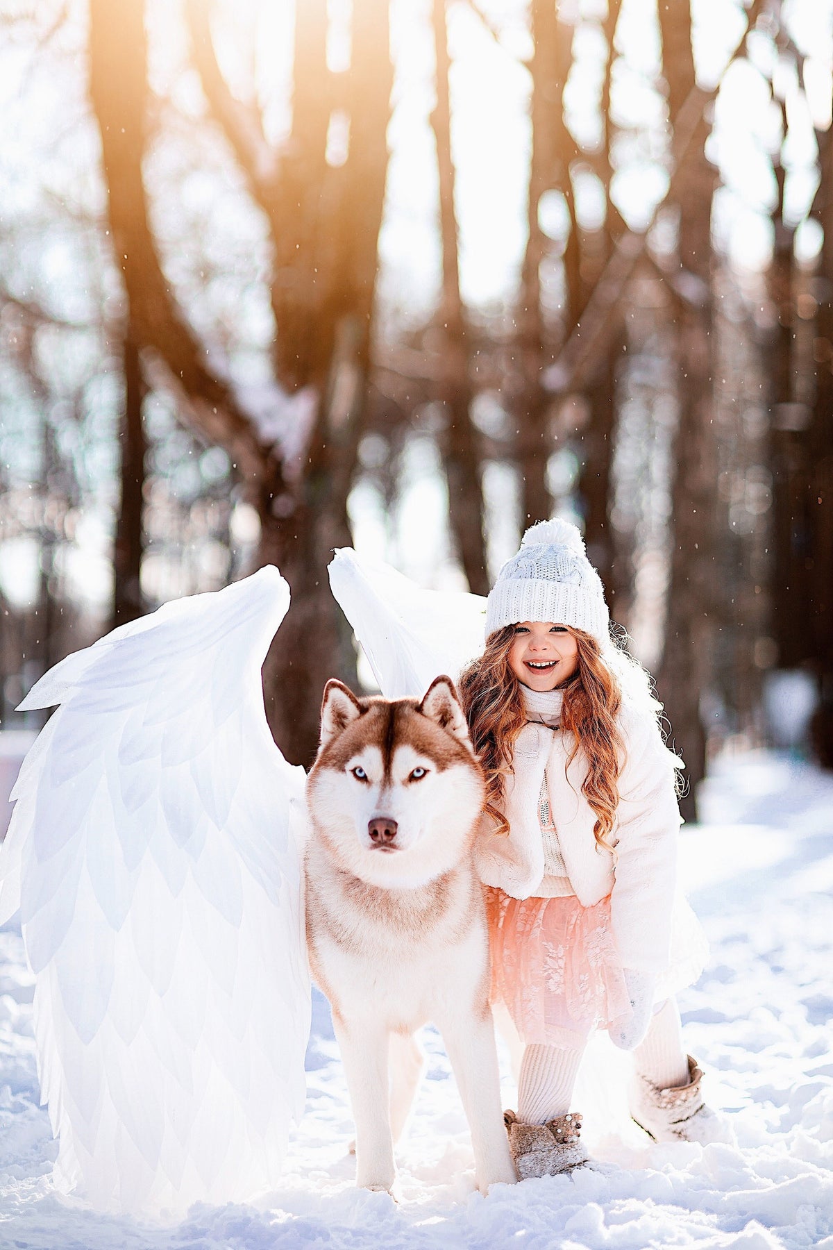 Dog Angel Wings Costume – Fantasy Pet Outfit, Cute Dog Costumes for Photoshoots  Special Occasions
