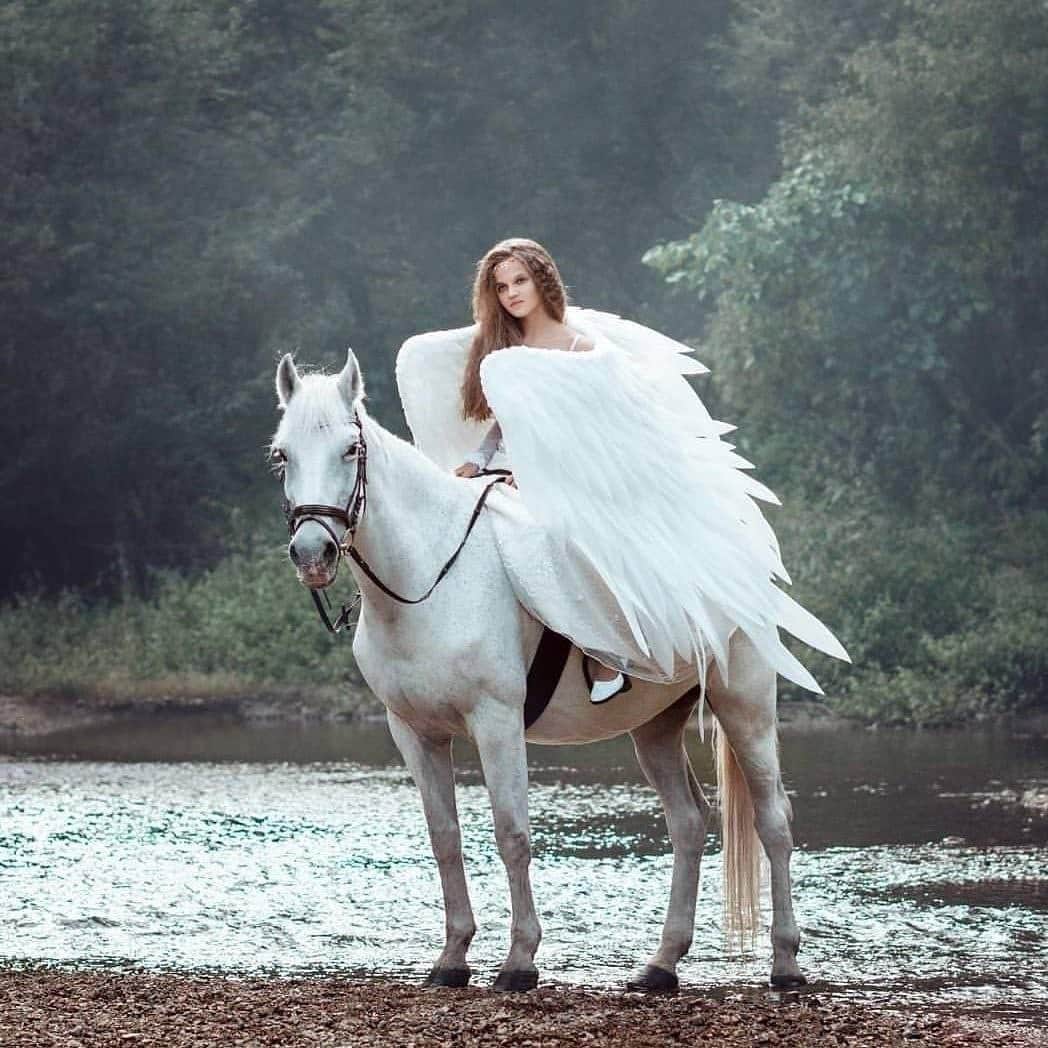 May include: A woman wearing a white dress and large white wings rides a white horse through a shallow stream. The horse is wearing a brown leather bridle.