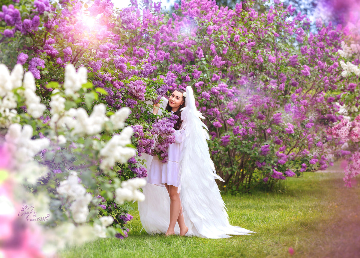 May include: A person wearing a white dress and large white angel wings stands in a garden surrounded by blooming lilac bushes. The image has a soft, dreamy quality with a bright, sunny background.