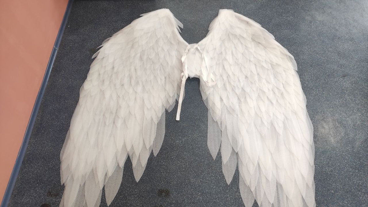 May include: White angel wings made of feathers, with a white ribbon tie at the center.