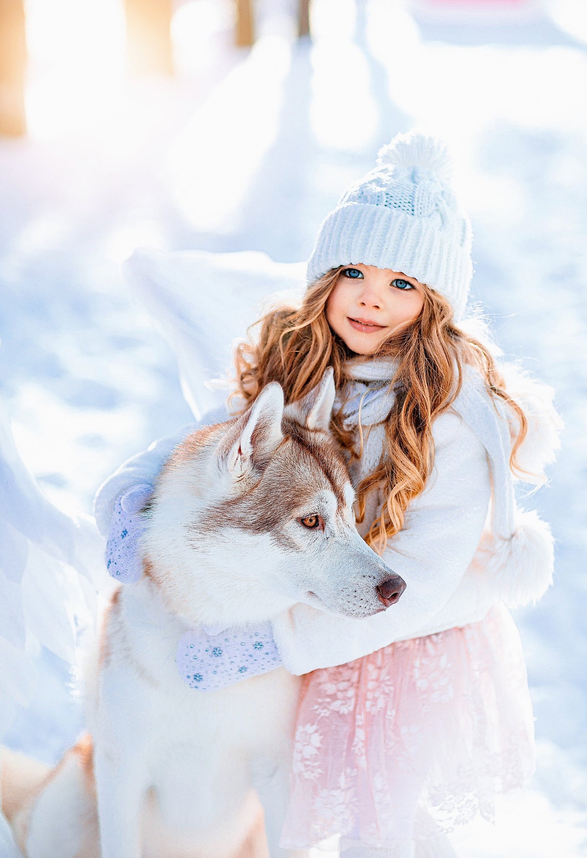 May include: A young girl wearing a white knit hat and a white coat is holding a white and brown husky dog in a snowy winter scene.