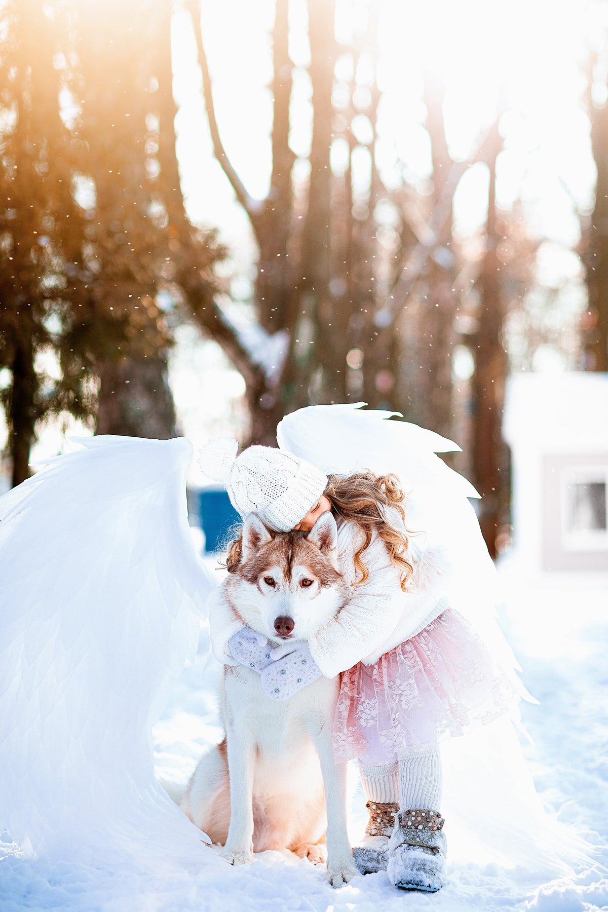 May include: A young girl wearing a white knitted hat and a pink tutu is hugging a white and brown husky dog. The girl is wearing white angel wings and the dog is sitting in the snow.