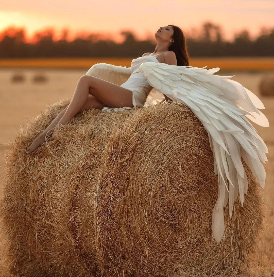 May include: A woman wearing a white dress with a large white feathered angel wing sits on a large round bale of hay. The setting sun casts a warm glow on the scene.