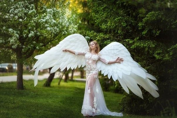 May include: A woman wearing a white lace dress with large white feathered angel wings. She is standing in a grassy area with trees in the background.