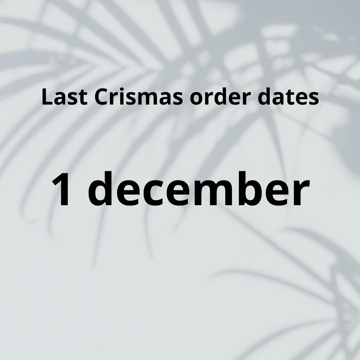 May include: Text on a white background with a shadow of palm leaves. The text reads "Last Crismas order dates 1 december".
