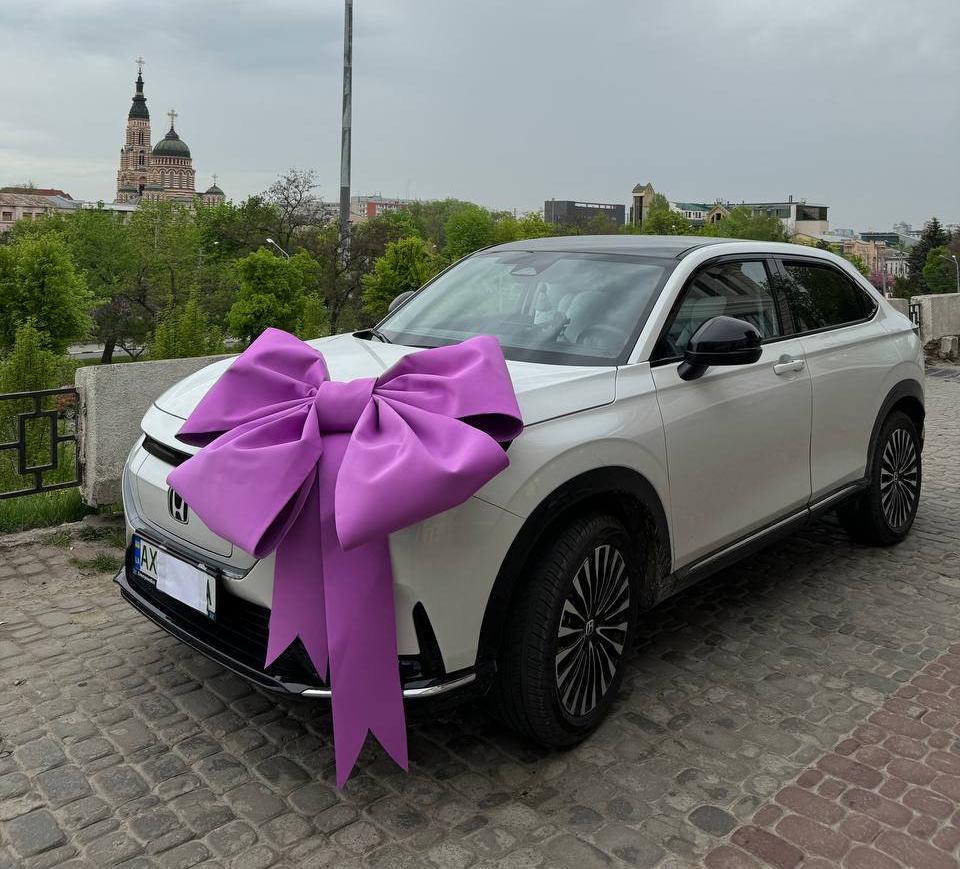 Car bow holiday decor gift, giant bow.