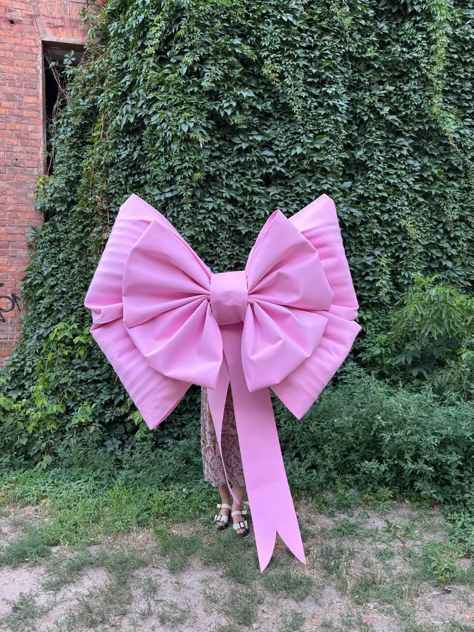 May include: A large, pink bow with long streamers. The bow is made of a smooth, possibly satin-like material. The bow is held in front of a person standing in front of a wall covered in green vines and grass.