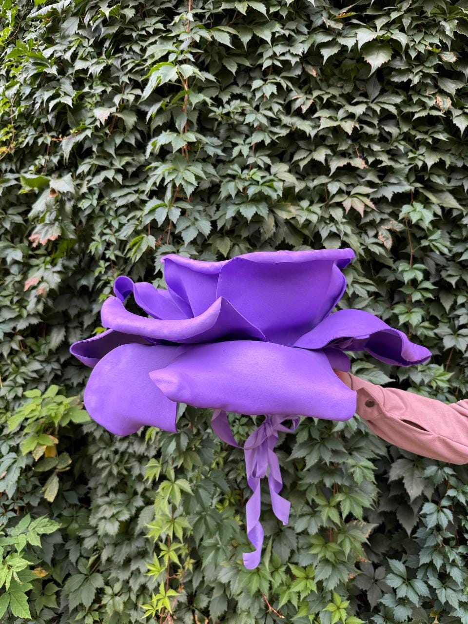 May include: A large, vibrant purple flower with oversized petals and long, flowing ribbons. The flower is held against a backdrop of lush green foliage, creating a striking contrast. The flower's color is a deep, rich shade of purple.