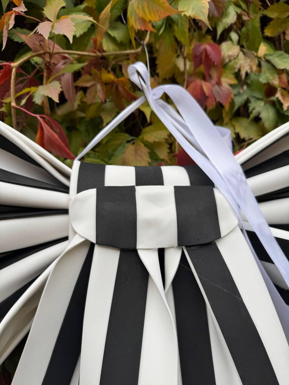 May include: A black and white striped decorative bow with long, flowing ribbons. The bow features a checkerboard pattern in the center and is suspended by a white ribbon. The background includes colorful autumn leaves.