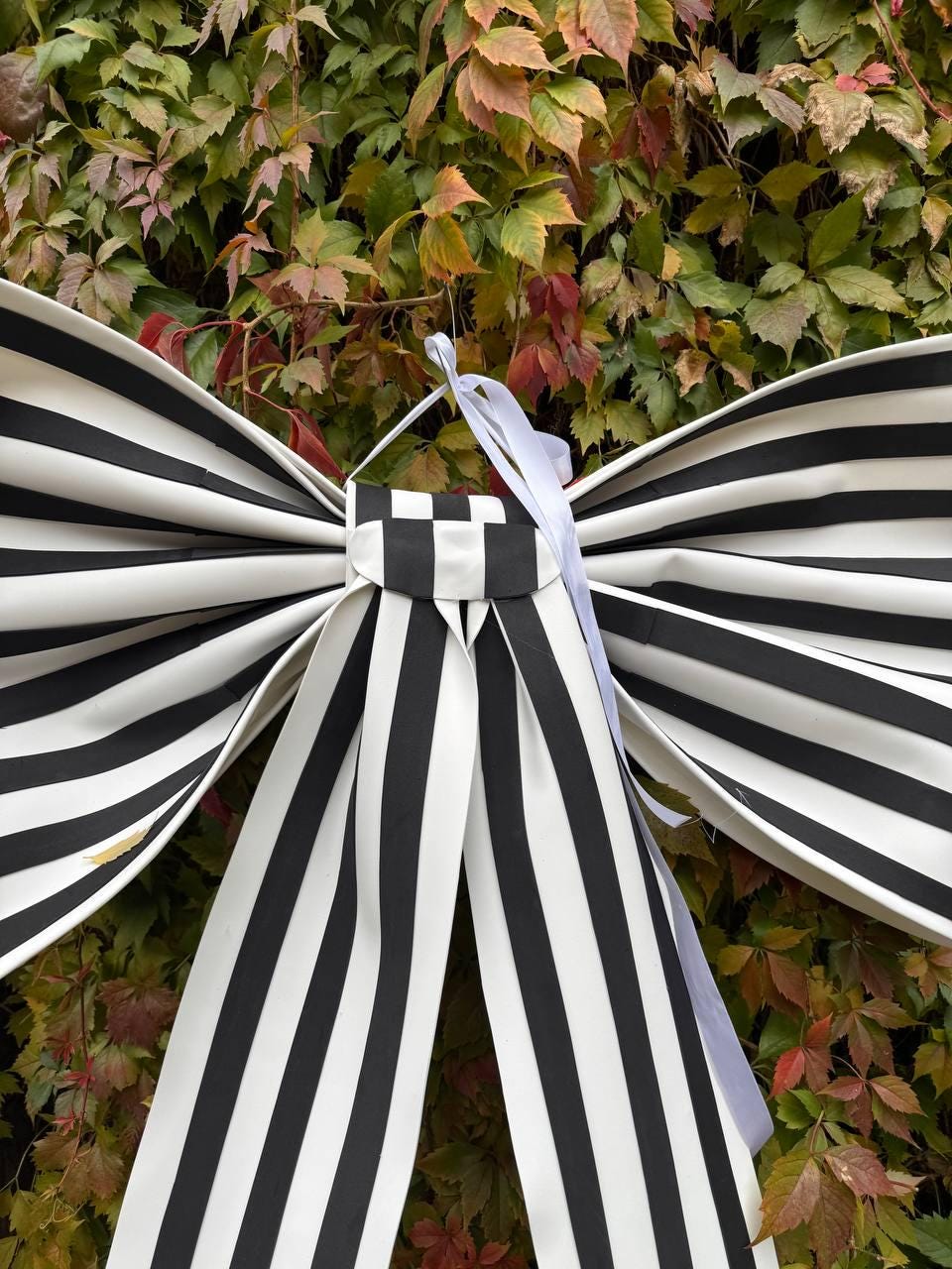 May include: A large decorative bow with black and white stripes. The bow has long, flowing ribbons and a checkered center. A white ribbon is attached for hanging. The bow is set against a backdrop of green and red foliage.