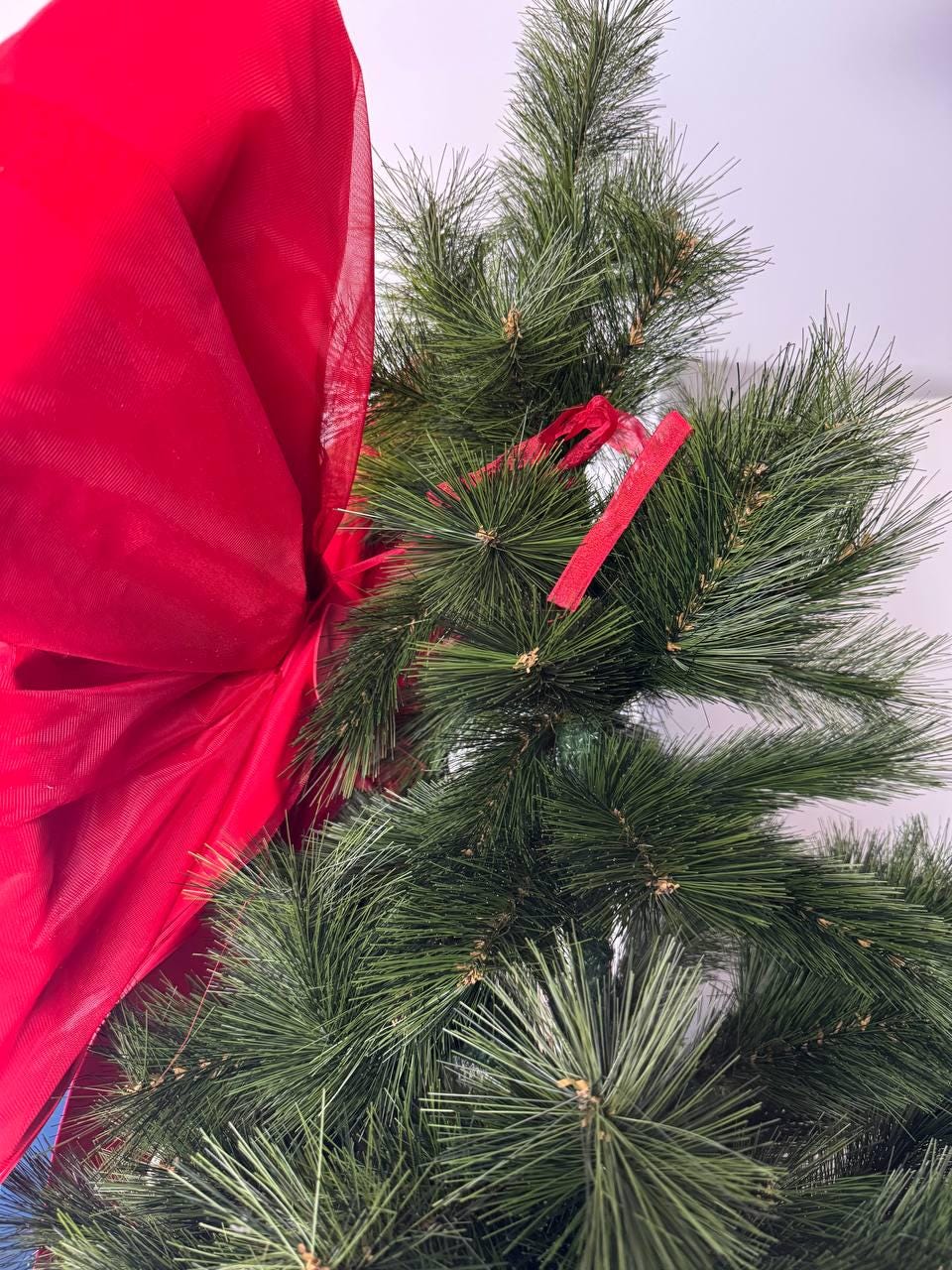 May include: A close-up of a Christmas tree with green needles and a large red bow. The bow is made of a sheer fabric and is tied to the tree. A red ribbon is also attached to the tree.