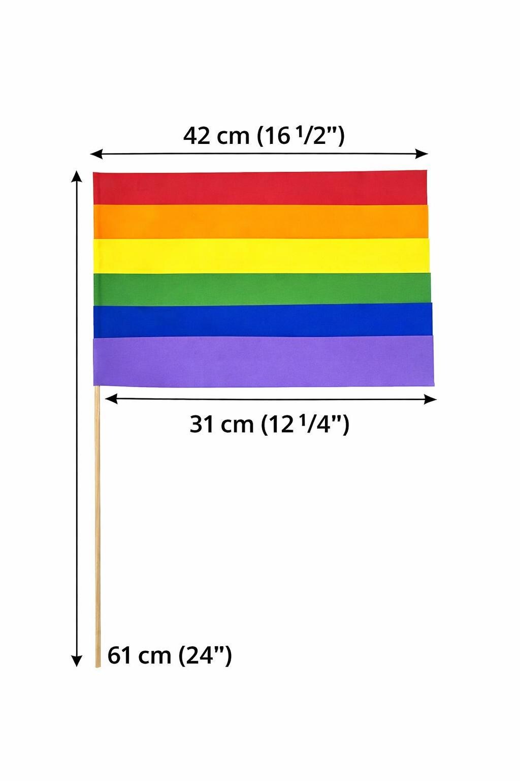 May include: A rainbow flag, 16 1/2 inches wide and 12 1/4 inches tall, with a wooden stick handle. The flag has horizontal stripes in red, orange, yellow, green, blue, and purple. The total length, including the handle, is 24 inches.