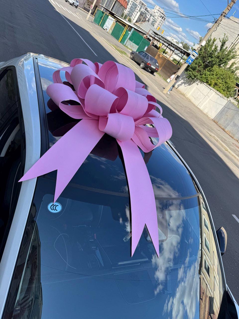 May include: A large, light pink decorative gift bow with multiple looped petals and two long, pointed tails attached to the roof of a car. The bow is constructed from smooth, matte material and is positioned centrally on the dark glass sunroof.
