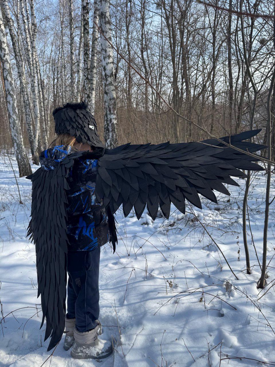 May include: A person wearing a black raven costume with large, layered wings and a matching headpiece. The costume is made of a dark material and is worn in a snowy, wooded area. The wings are spread out, and the person is standing in the snow.