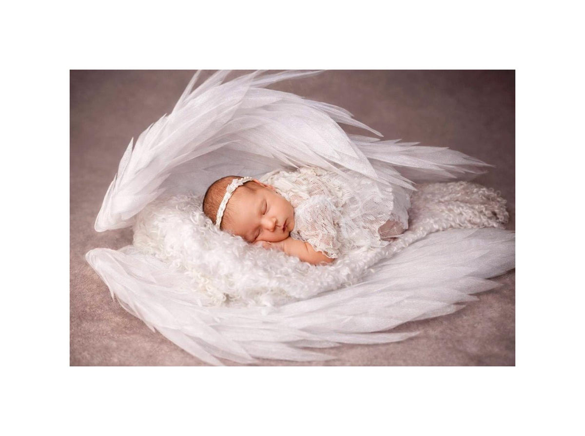 May include: A newborn baby sleeps peacefully, nestled in a bed of white feathers and lace, with large white feathered wings overhead. The baby wears a white lace outfit and a matching headband. The background is a soft, muted brown.
