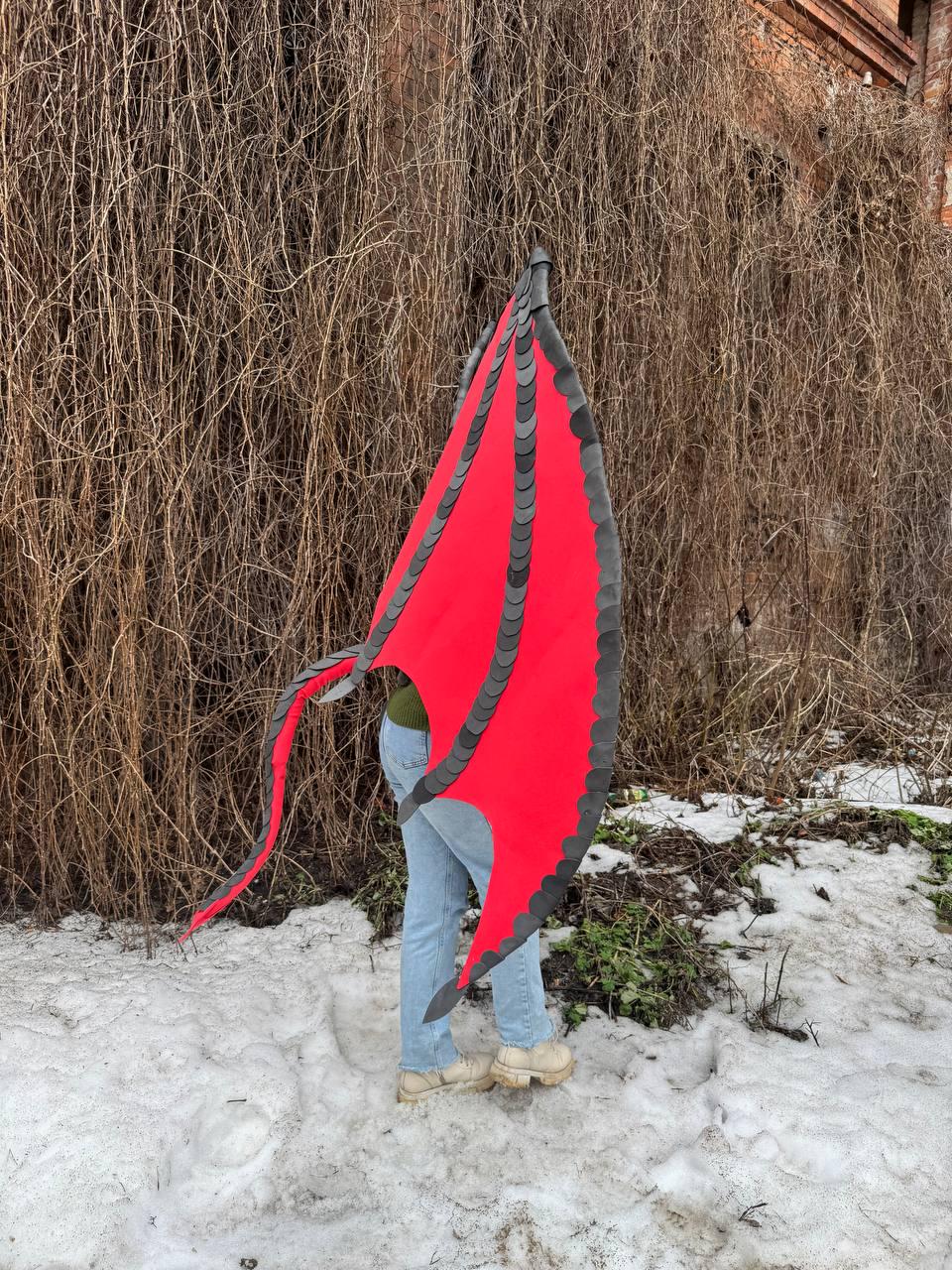 May include: A pair of red dragon wings with black trim and accents. The wings are made of a red fabric with a black, scale-like border. The wings are designed to be worn, with straps or attachments for the arms.
