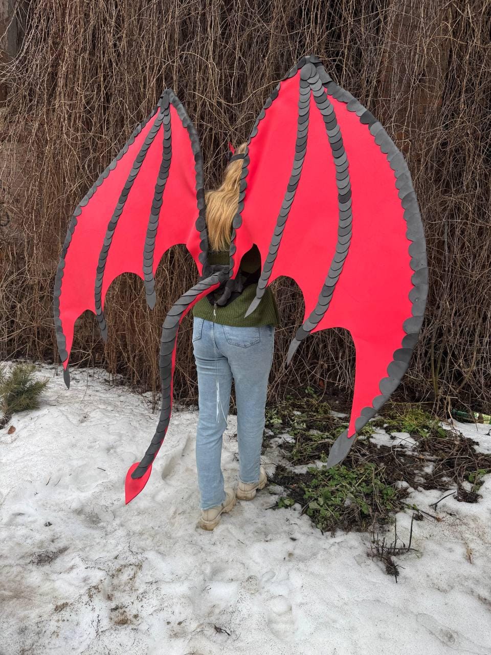 May include: Red and gray dragon wings with a matching tail. The wings are a vibrant red with gray scalloped edges. The tail is black and red. The wings are attached to a person wearing a green sweater and blue jeans.