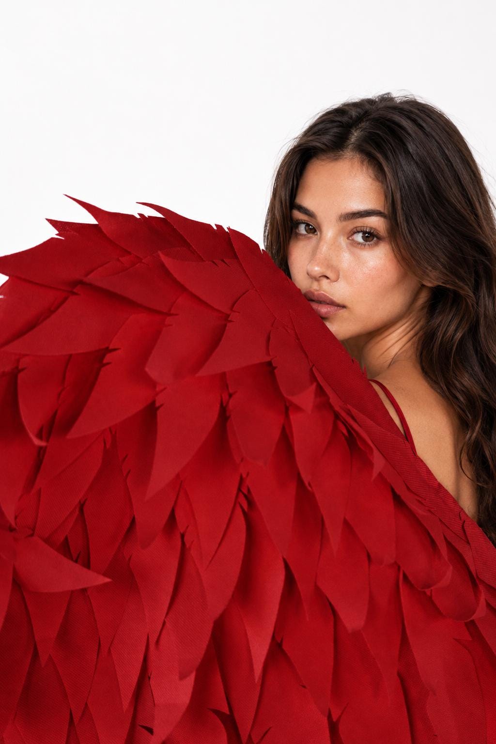 May include: A pair of large, deep red wings constructed from layered, pointed fabric feathers. The wings feature a dense, overlapping design that creates a textured, voluminous appearance, extending outward to cover a portion of the frame.